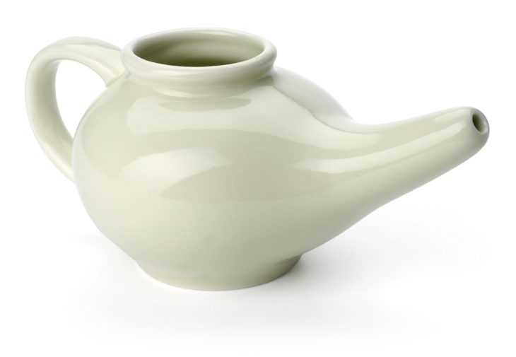 10 Best Neti Pots for 2024 Reviews & Buying Tips The .ISO zone
