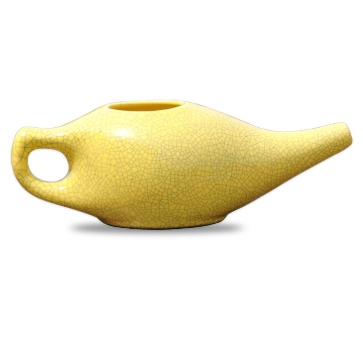 10 Best Neti Pots for 2024 Reviews & Buying Tips The .ISO zone