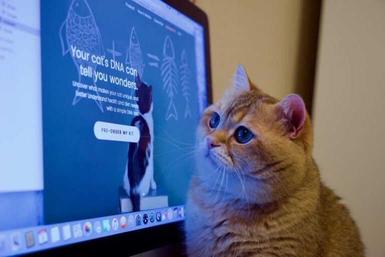 6 Things To Know About Cat DNA Testing The .ISO zone