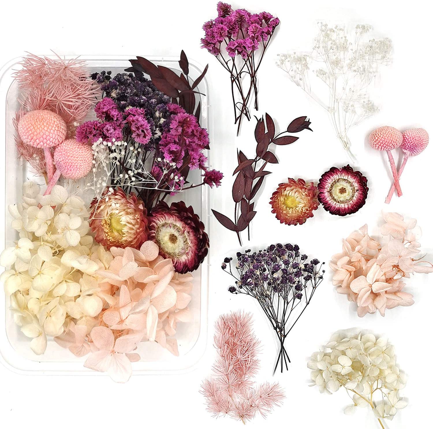 4 Things You Need to Know About Dried Flowers - The .ISO zone