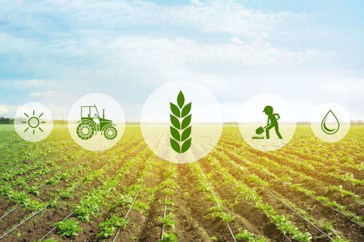Climate-Smart Agriculture